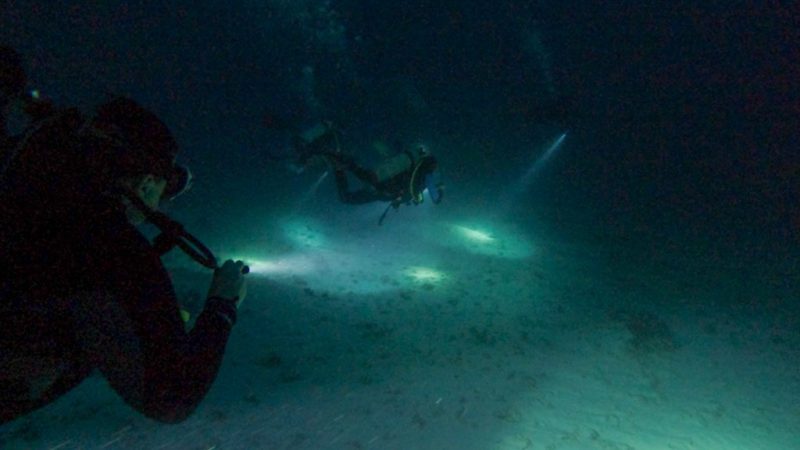 YucabReef-2-2-24-12