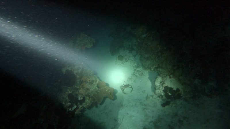 YucabReef-2-2-24-20