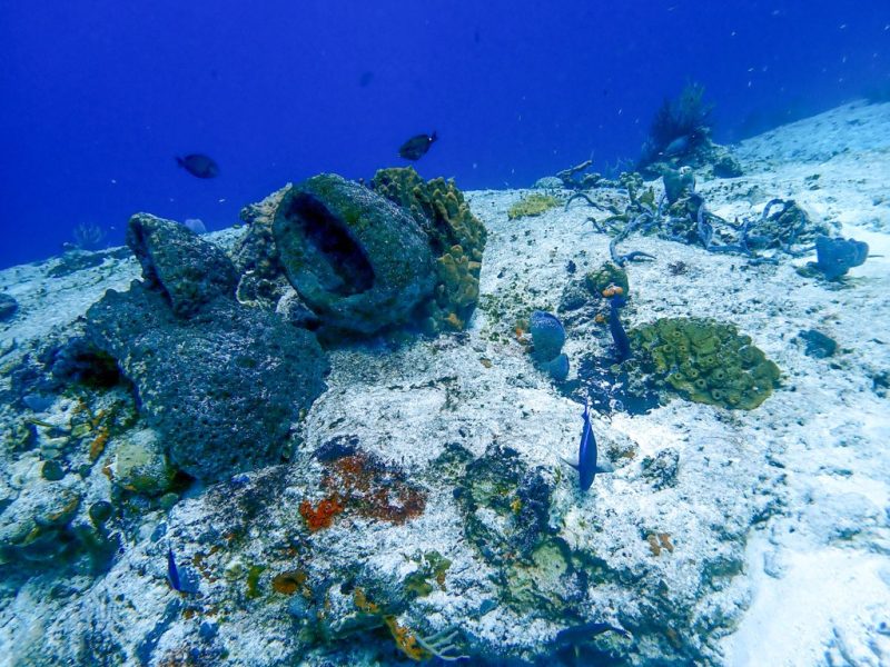 Coral Reef at Santa Rosa Wall Dive Site in Cozumel