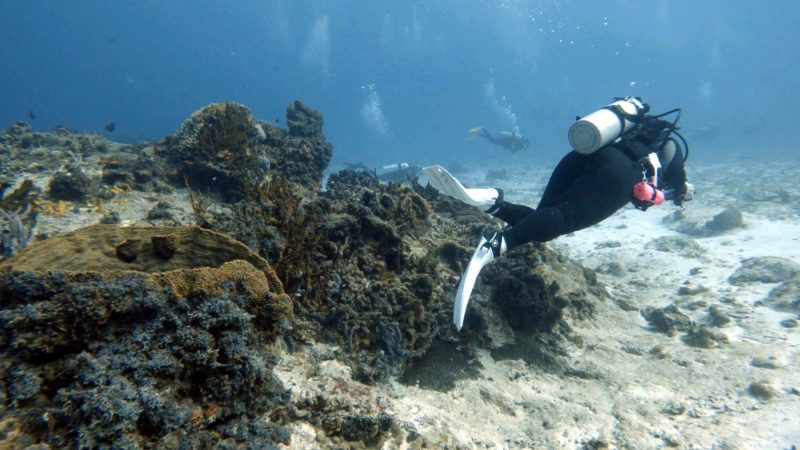 Scuba_Andrea