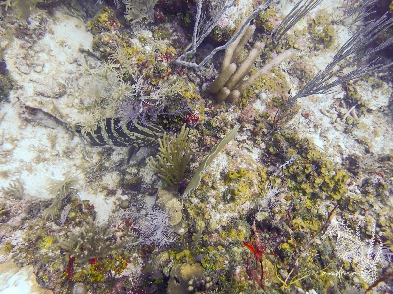 P9160836