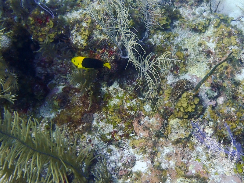 P9160886